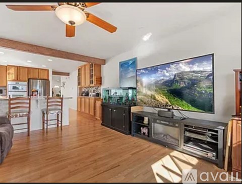 A living room with a television and a fan.