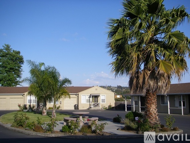 A palm tree stands in front of a building with a sign that reads "AVAIL".
