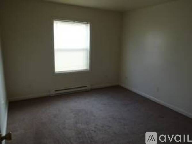 A room with a window and a carpeted floor.