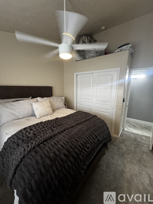 A bedroom with a bed covered in a dark blanket and a ceiling fan above it.
