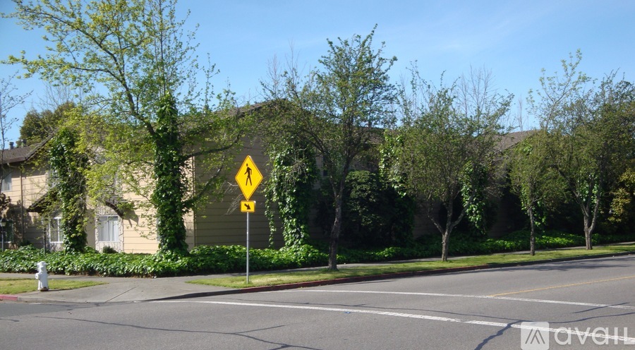 A yellow pedestrian crossing sign is on a pole at the side of a road.