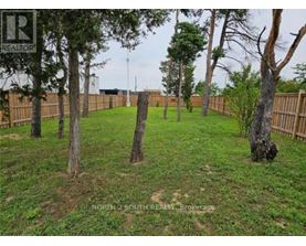 A grassy yard with trees and a fence.
