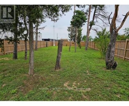 A grassy yard with trees and a fence.