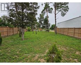 A backyard with a fence and trees.