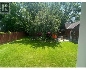 A backyard with a lawn and trees.