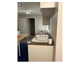 A kitchen with a counter top and a sink.