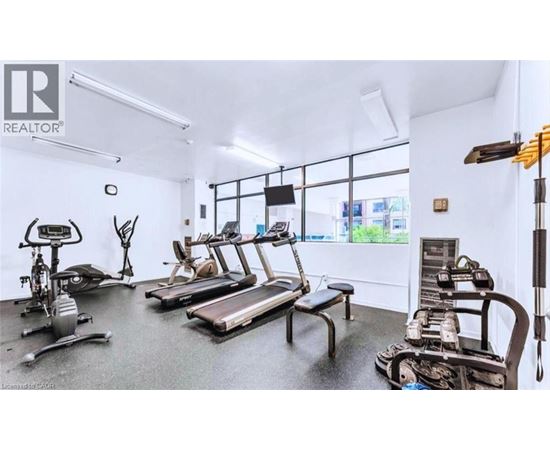 A gym with treadmills, exercise bikes, and weights.