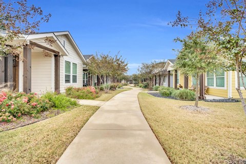 A row of houses with a sidewalk in front.