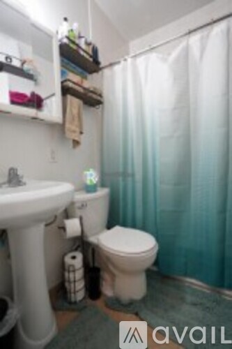 A bathroom with a toilet, sink, and a shower curtain.