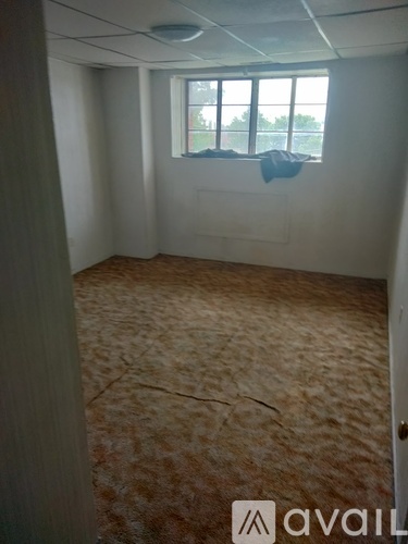 115 N 8th St 2 Beds Apartment for Rent - Photo gallery 5