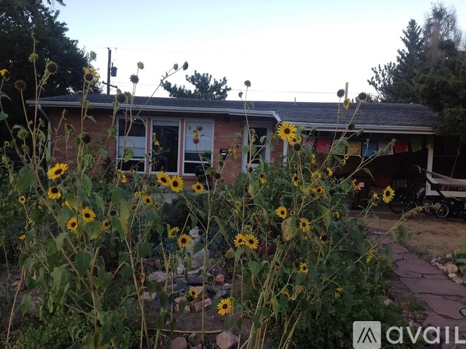 Sunflowers in front of a house with a sign that says "AVAIL".