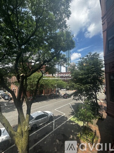 A street view with a tree in the foreground and a building in the background.