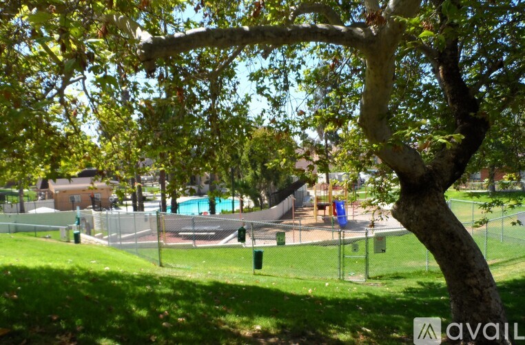 A tree in a park with a playground in the background.