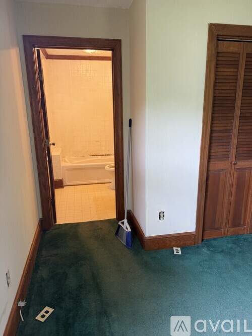 A room with a green carpet and a white door.