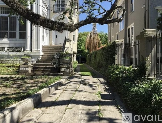 A tree with hanging bags in front of a white building.