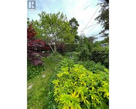 A lush green garden with a variety of plants and trees.