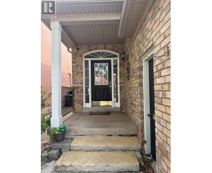 A house entrance with a black door and a small plant on the steps.
