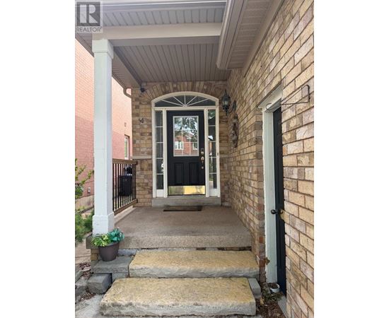 A house entrance with a black door and a small plant on the steps.