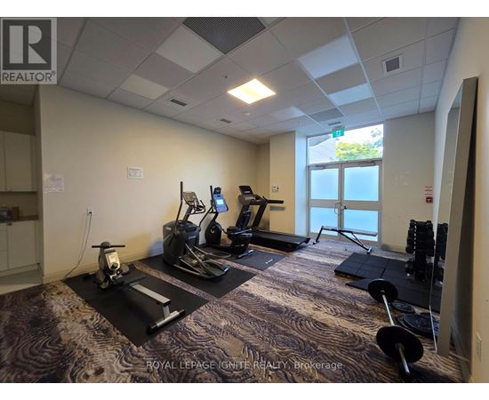 A gym room with a treadmill, elliptical trainer, and weights.