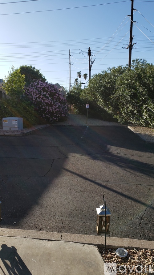 A street with a white sign and a tree with pink flowers.