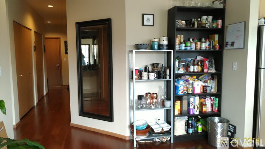 A kitchen with a refrigerator, a cabinet with many bottles, and a potted plant.
