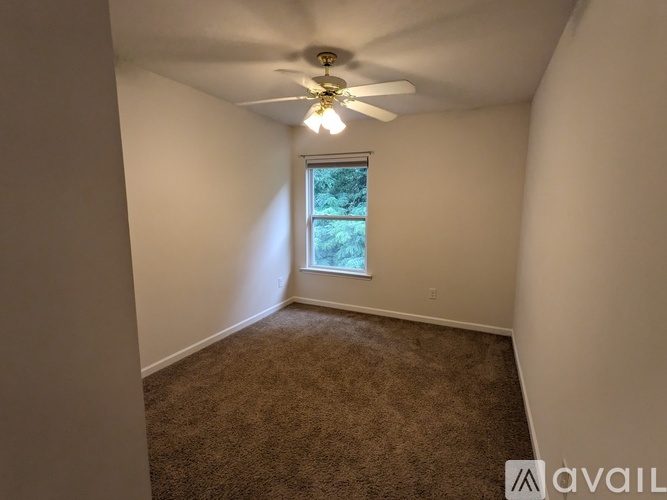 A room with a carpeted floor and a window showing trees outside.