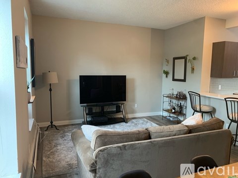 A living room with a grey couch and a black television.
