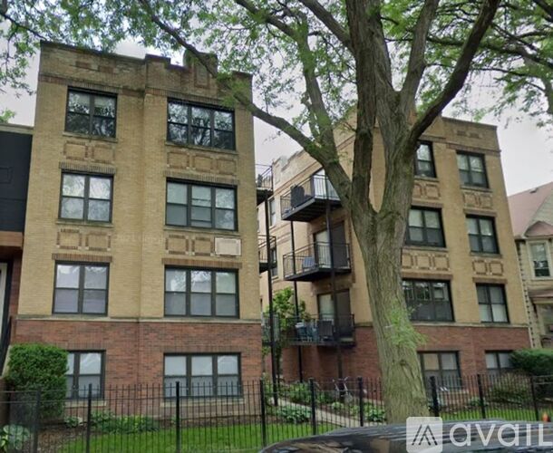 A tree in front of a building with balconies.