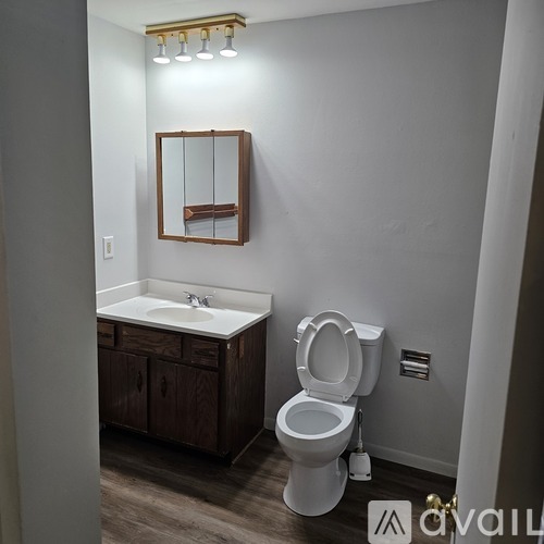A bathroom with a toilet, sink, and mirror.