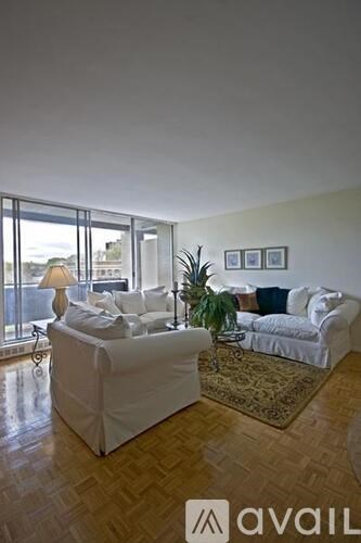 A living room with a white couch and a rug.