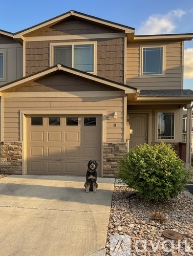 A dog is standing in front of a garage door.