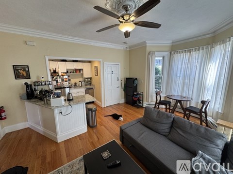A living room with a grey couch and a ceiling fan.