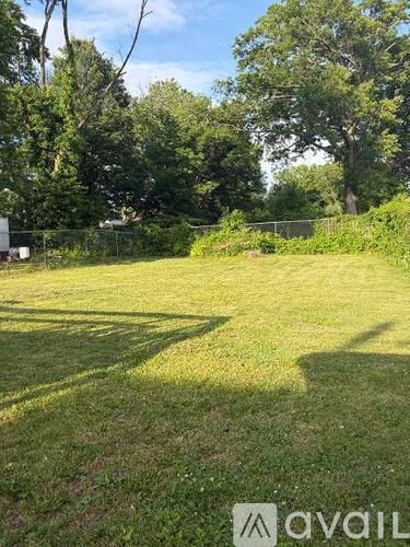 A grassy field with trees in the background and a fence running along the edge.