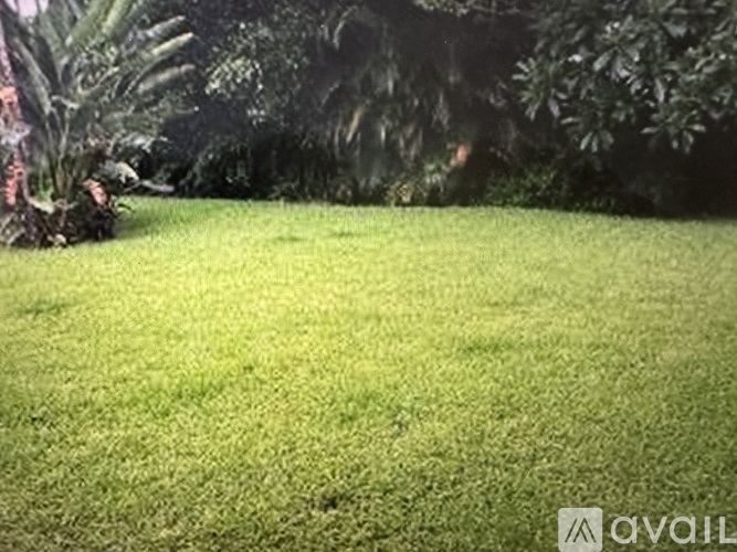 A grassy area with trees in the background.