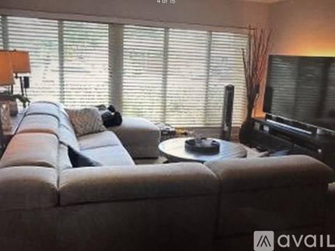 A living room with a grey sofa and a television.