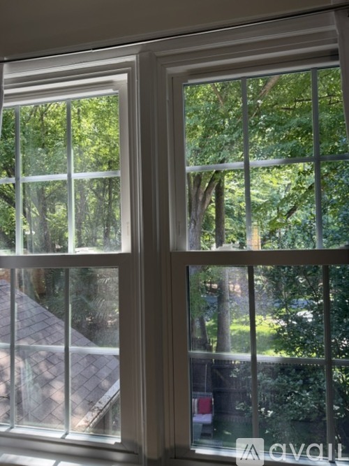 A window with a view of a backyard and trees.