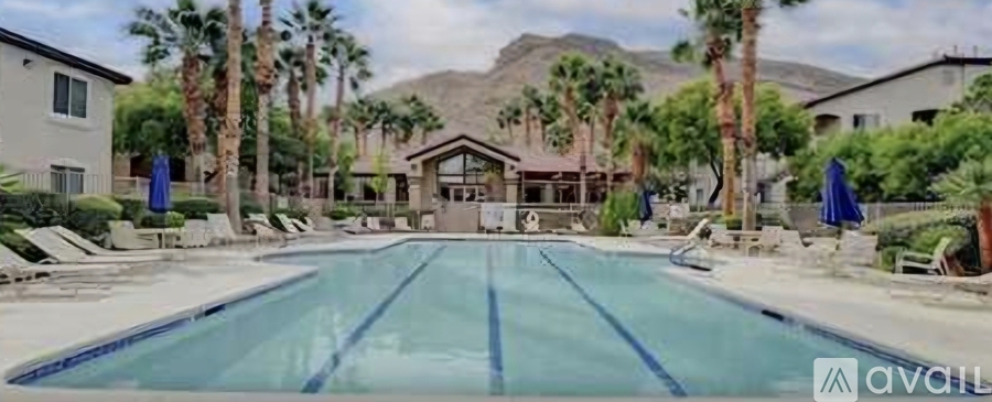 A large swimming pool surrounded by palm trees and lounge chairs.