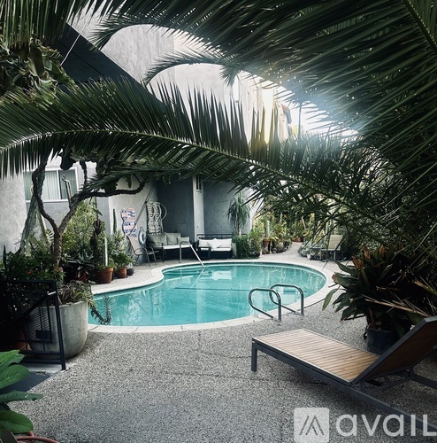 A pool surrounded by palm trees and a bench.