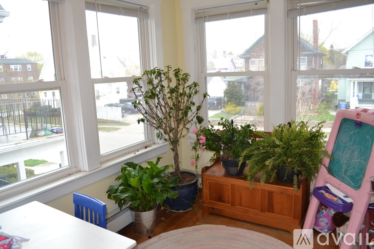 A room with a table, chairs, potted plants and a window overlooking a street.