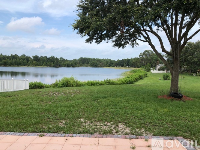 A tree stands in a grassy area next to a lake.