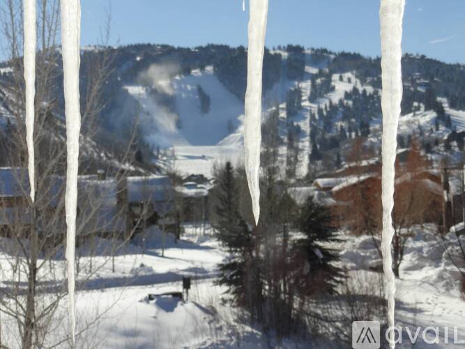 A winter landscape with trees and a mountain in the background.