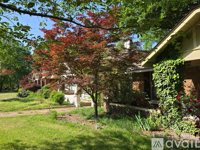 515 Alexander St 2 Beds Apartment for Rent - Photo gallery 2