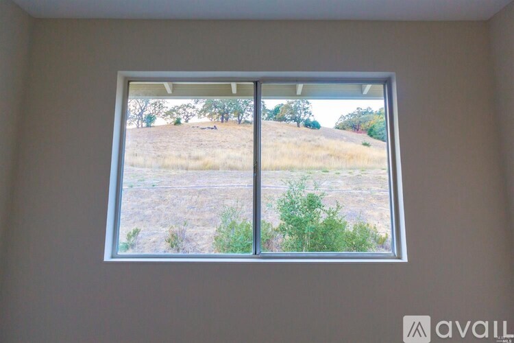 A window with a view of a dry grassy field.