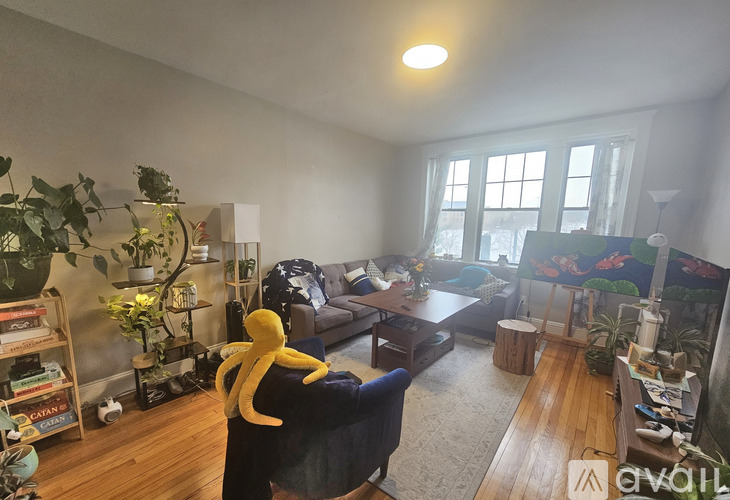 370 Chestnut Hill Ave 2 Beds Apartment for Rent - Photo gallery 4