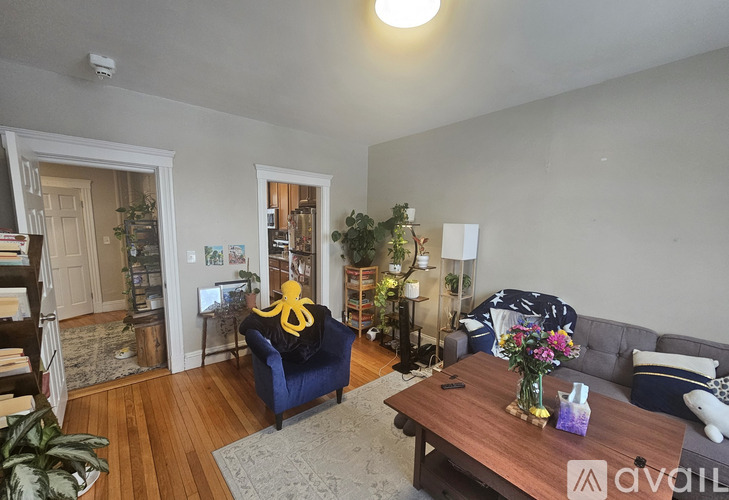 370 Chestnut Hill Ave 2 Beds Apartment for Rent - Photo gallery 5