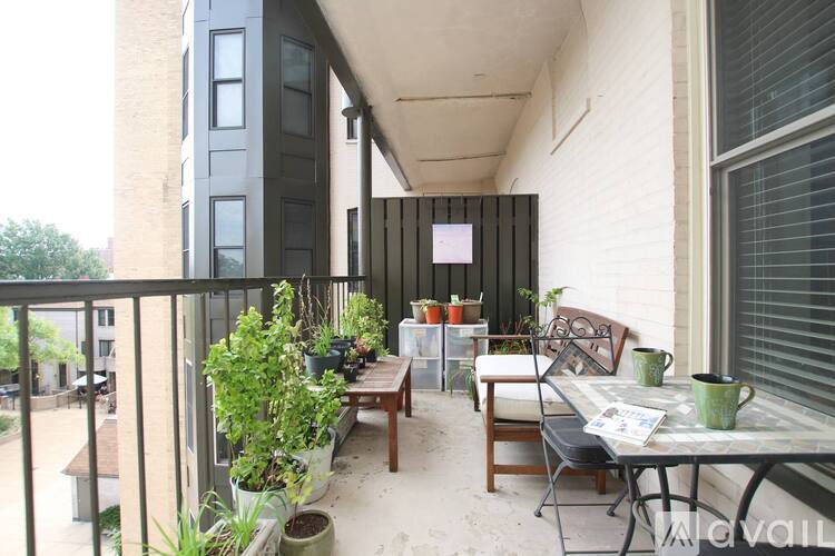 1325 13th Street Northwest 1 Condo for Rent - Photo gallery 3