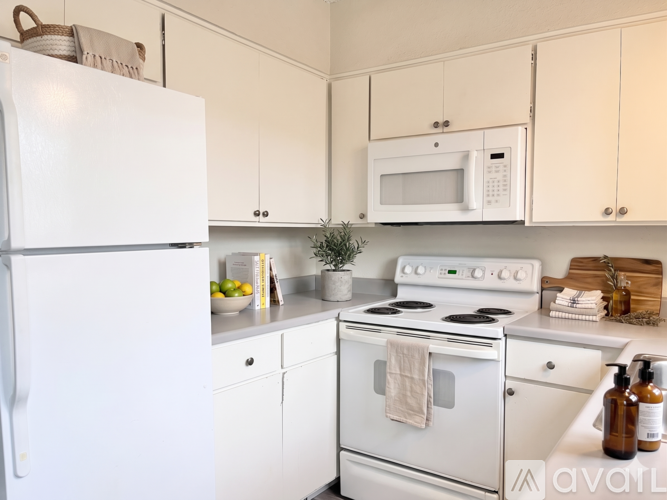 3031 N 36th St 1 Apartment for Rent - Photo gallery 5