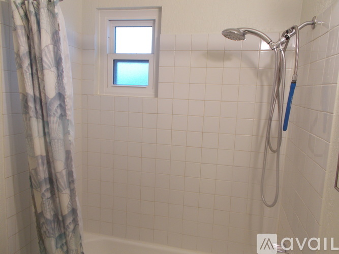 A bathroom with a shower head and a window.