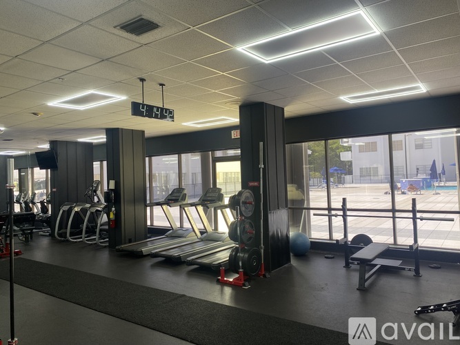 A gym with treadmills, weights, and exercise balls.