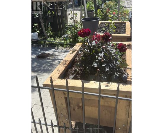 A flower bed with red flowers in a wooden box.